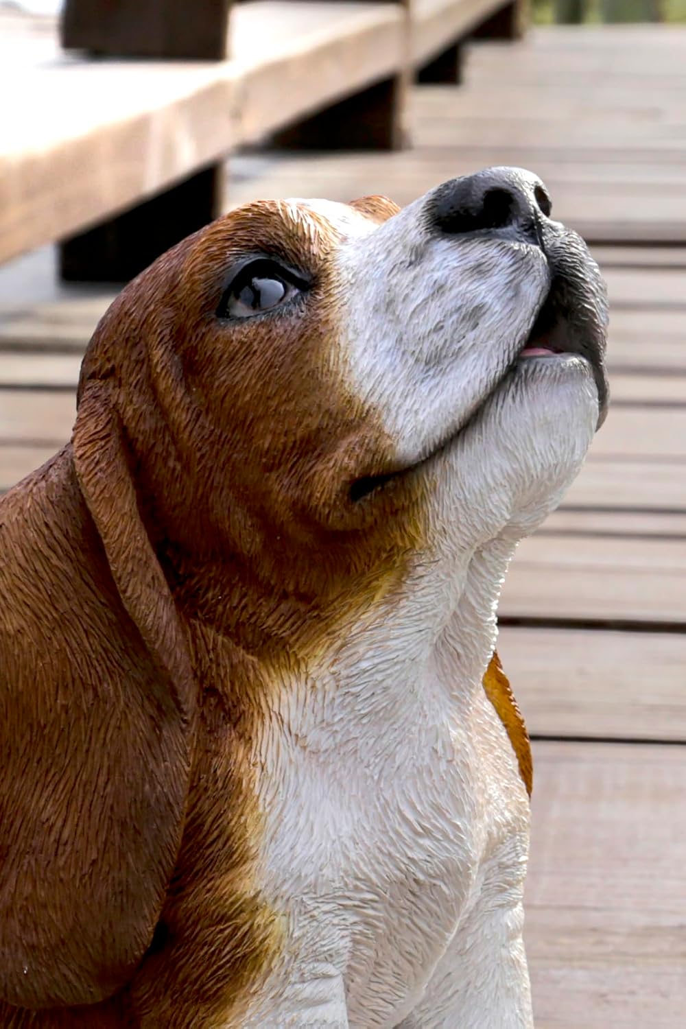 Basset Hound Puppy Howling