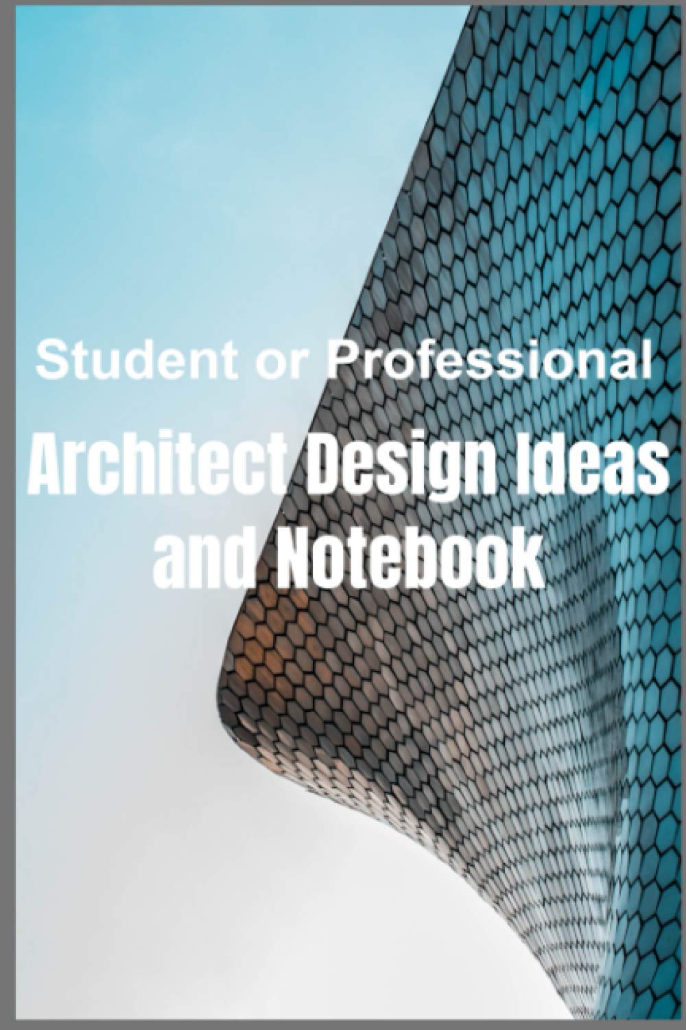 Buy Architect Drawings, Ideas and Notes Sketch Like an Architect, Architects Graph Paper and