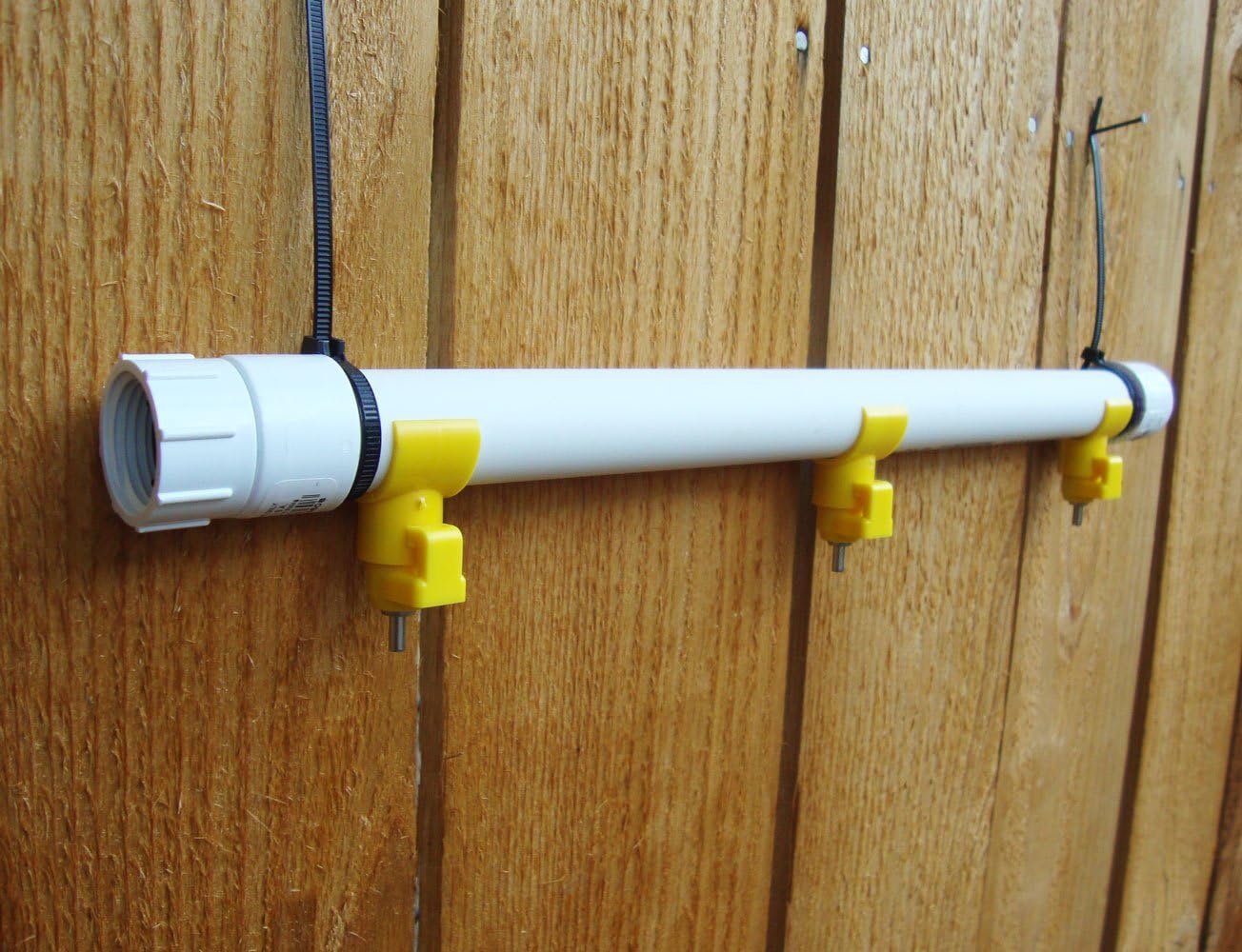 Oasis Fountainhead, On-demand Poultry Waterer, Sanitary Water for up to 12 Chickens, Turkeys, Geese or Ducks