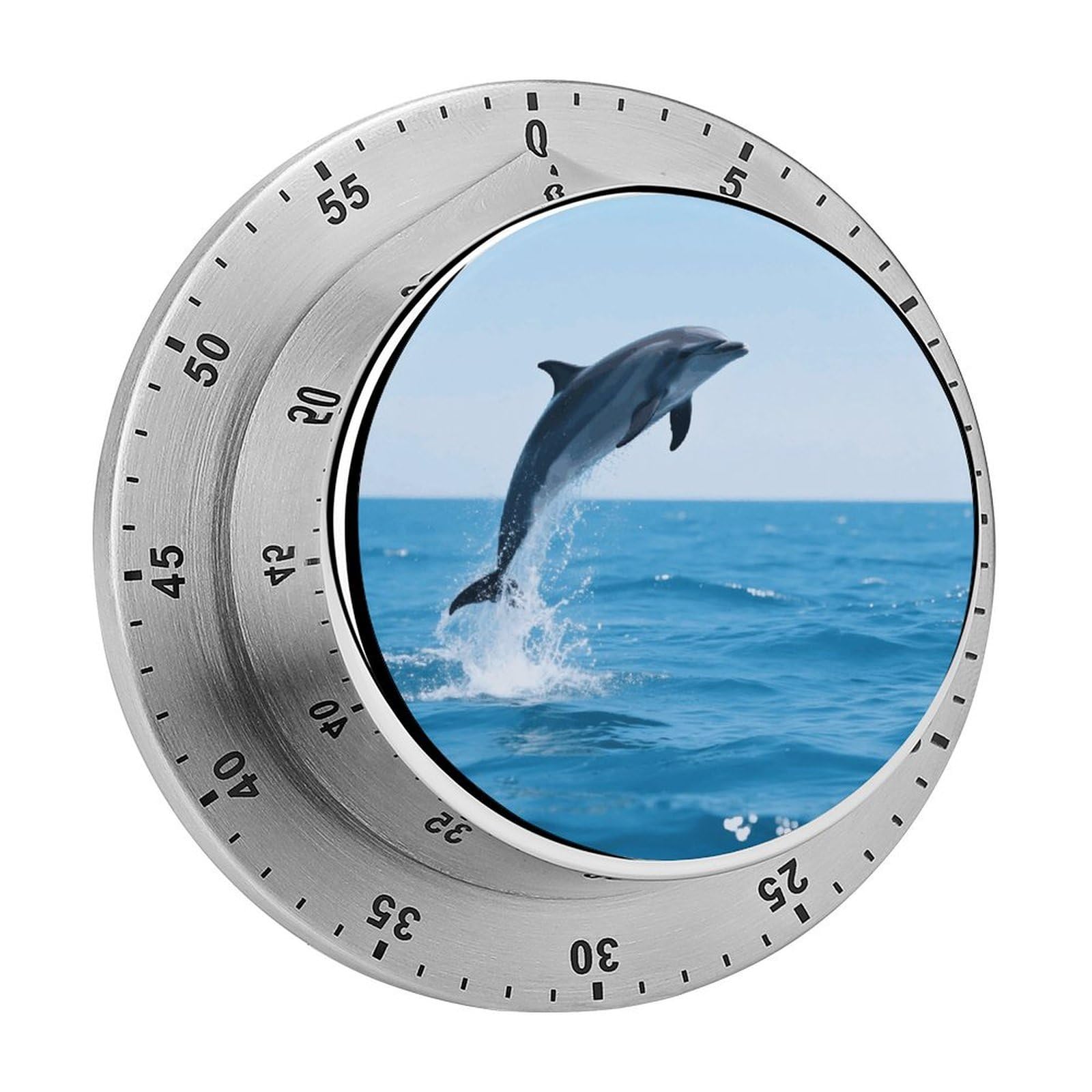 60 Minute Visual Wind Up Timer, Mechanical Kitchen Timer with Magnetic Base & Loud Alarm, Battery-Free Manual Dolphin Underwater Countdown Clock for Focus Cooking Studying Gaming Classroom