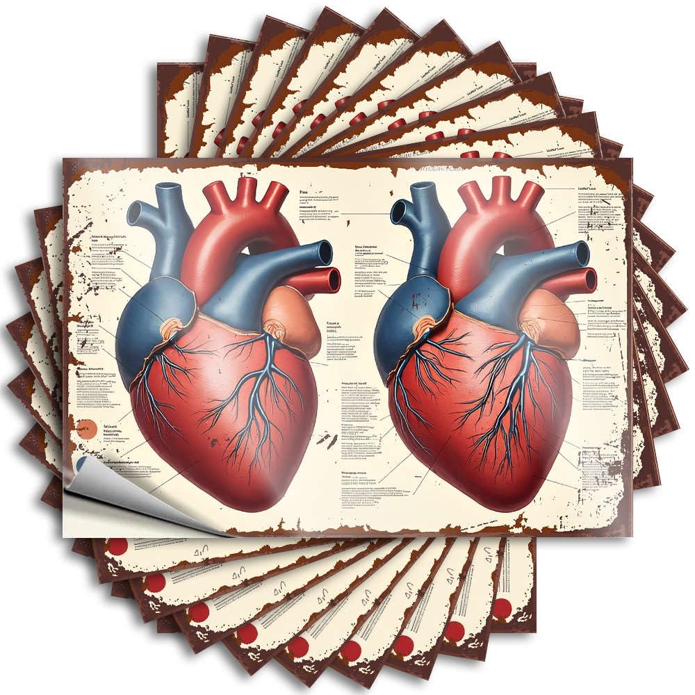 Anatomical Diagram of The Human Heart. Tumbler Punk - Home Tattoos Self Adhesive Sticker(8X12CM)