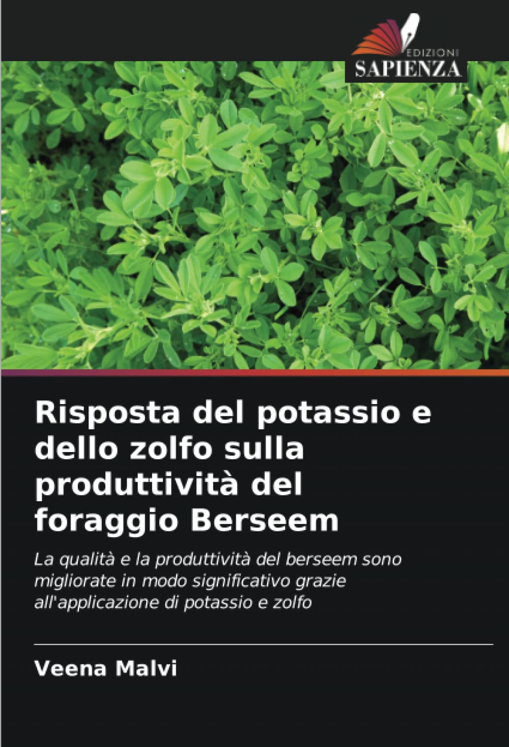 Risposta del potassio e dello zolfo sulla produttività del foraggio Berseem: La qualità e la produttività del berseem sono migliorate in modo significativo grazie all'applicazione di potassio e zolfo