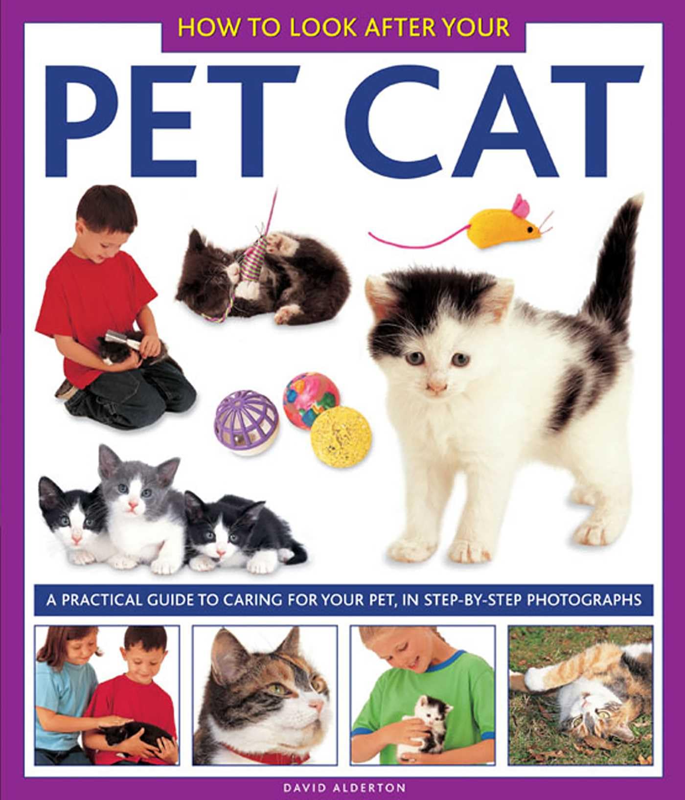 How to Look After Your Pet Cat by Alderton David HARDBACK 9781843227328