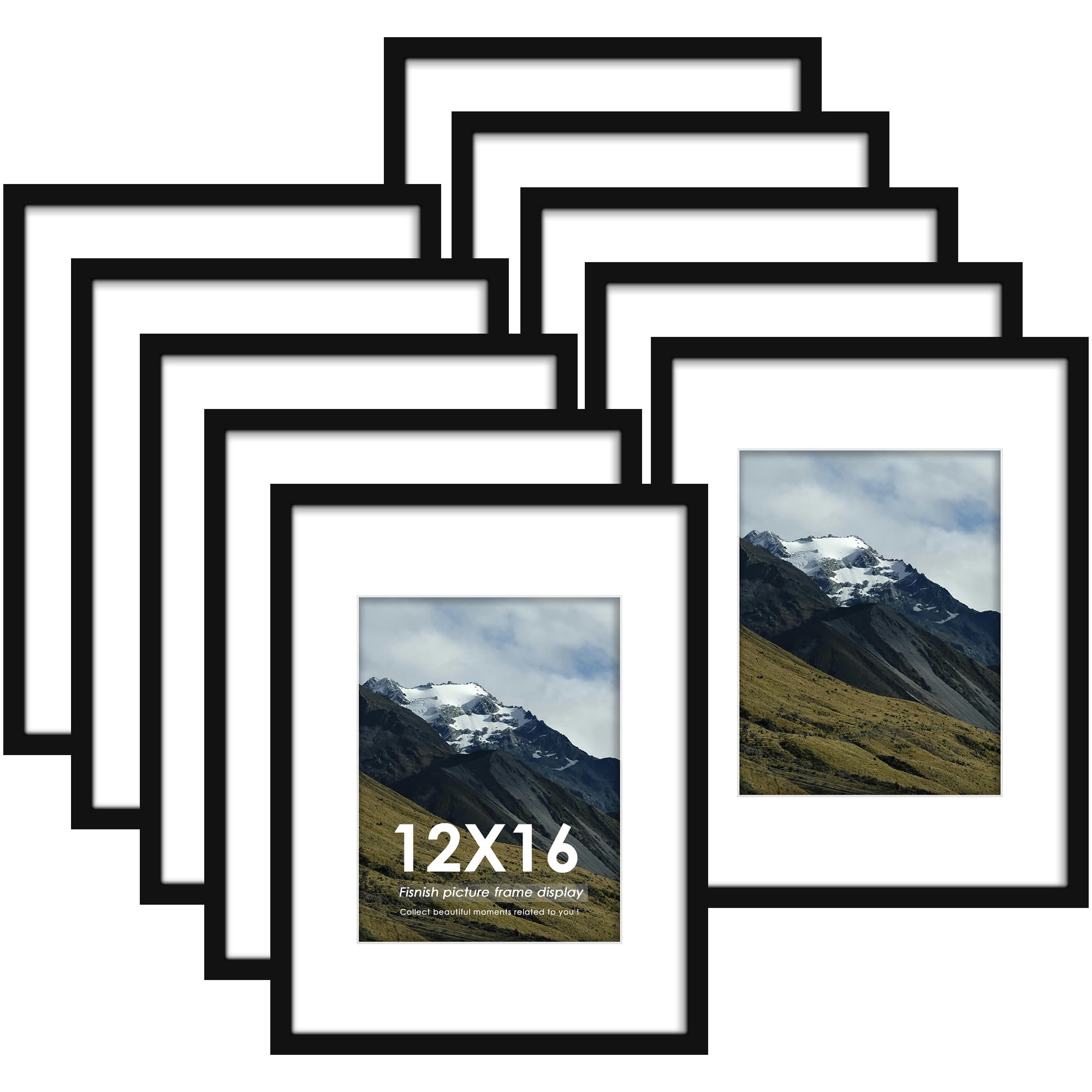 Golden State Art, 12x16 Picture Frame Matted to 8.5x11