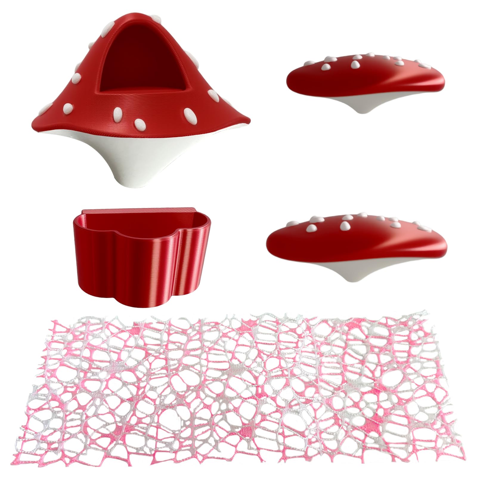 Kit araignée sauteuse complet pour l'escalade et l'alimentation en terrarium