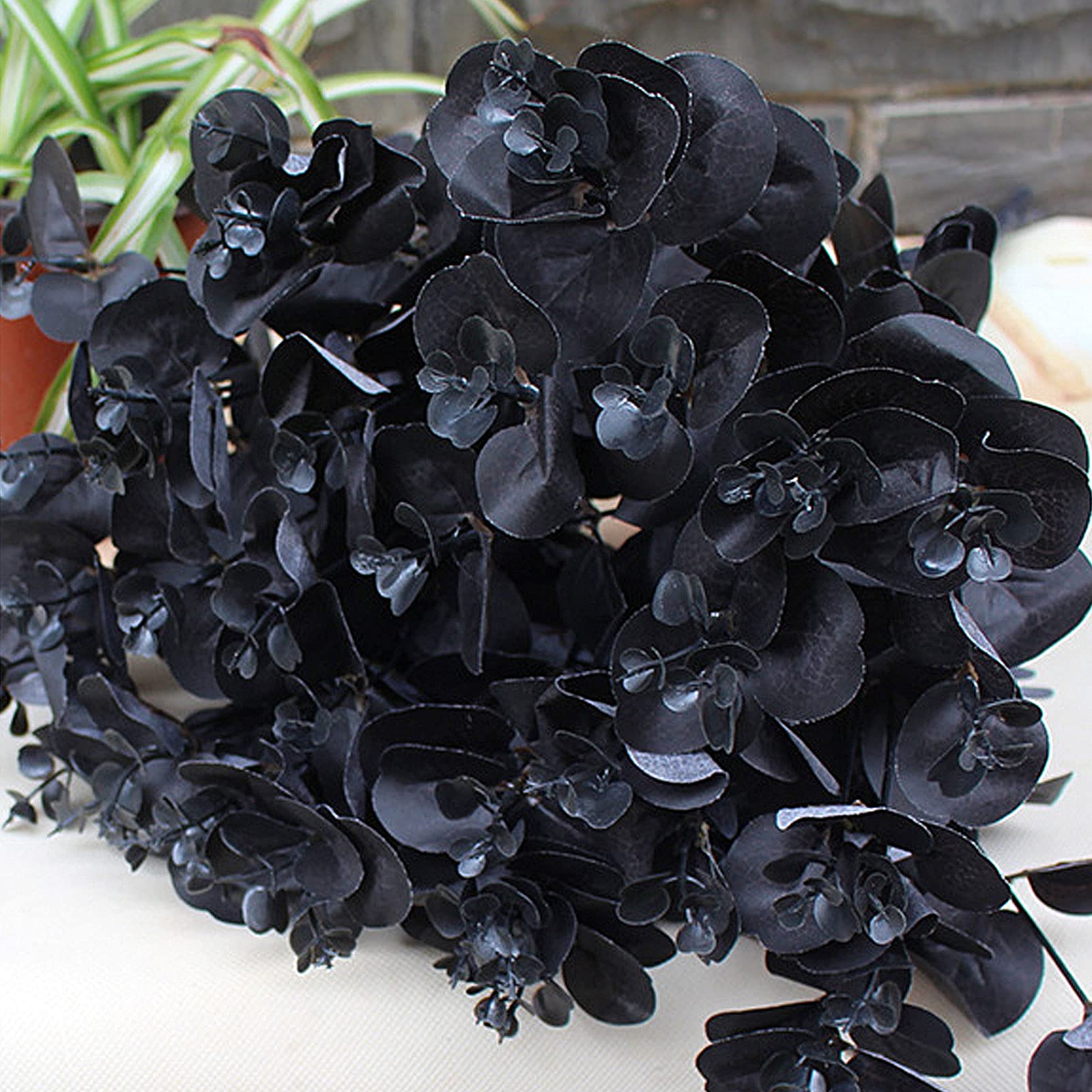 Tinsow 26 Steli Di Eucalipto Artificiale Nero, Fiori Di Eucalipto Finti Fiori Di Eucalipto Realistici Al Tatto, Decorazione Per La Casa (26, Nero Tinsow 26 Steli Di Eucalipto Artificiale Nero, Fiori Di Eucalipto Finti Fiori Di Eucalipto Realistici Al Tatto, Decorazione Per La Casa (26, Nero
