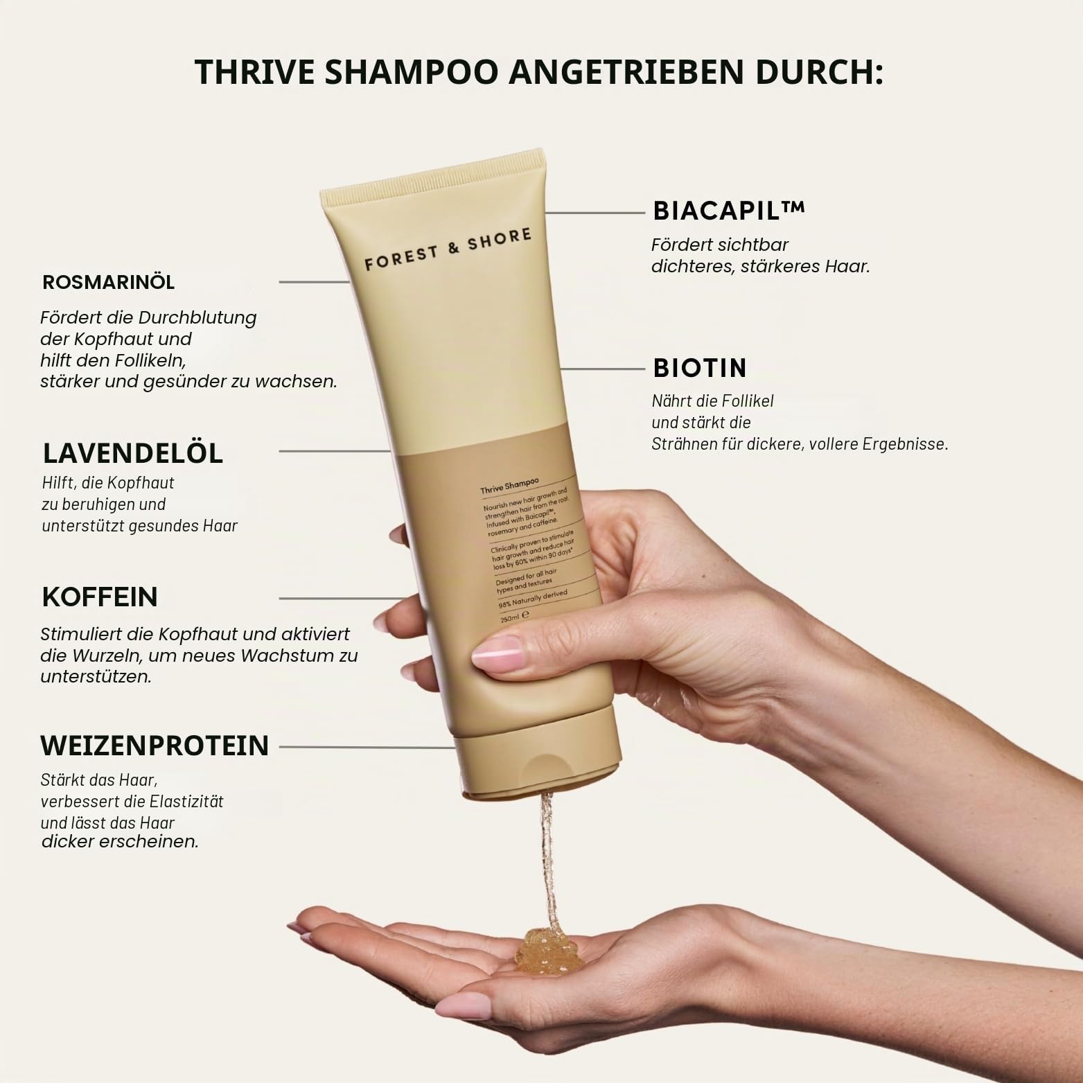Forest & Shore Shampoo und Conditioner Set für Haarwachstum – Rosmarin Shampoo gegen Haarausfall mit Biotin, Koffein & Baicapil – 98% Natürlich, Sulfatfrei & ohne Silikone – Für Damen & Herren – 500ml