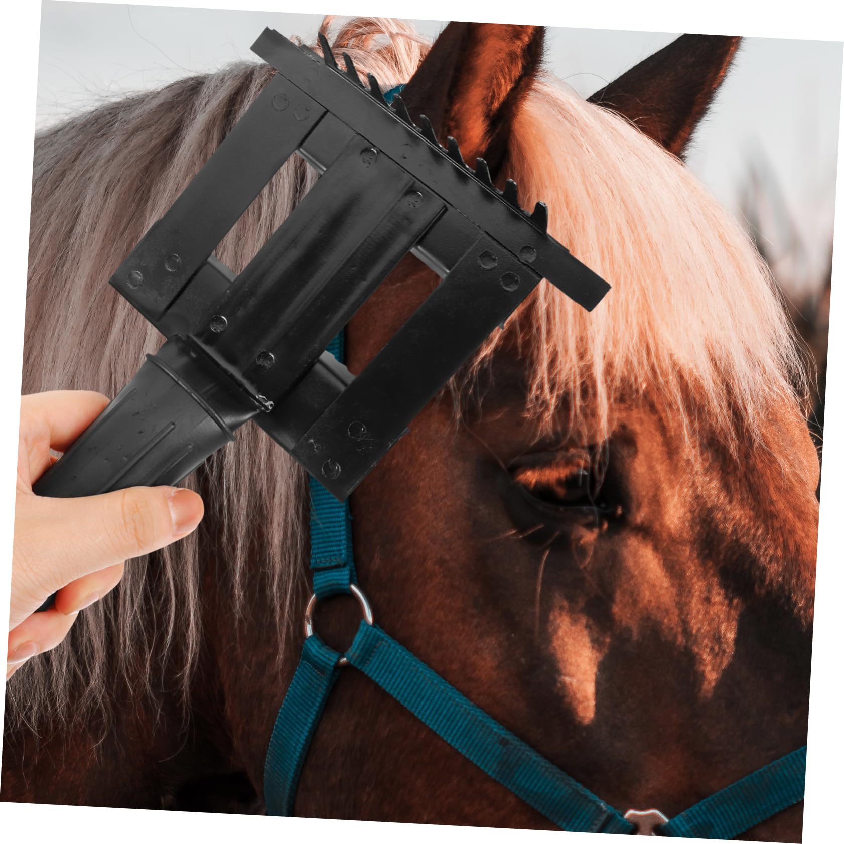 INOOMP 3St Anti-Juckreiz-Rechen tierbürste tierhaar bürste Reinigungsbürste Haustier Werkzeug zur Pferdepflege Pferdehaarbürste sauber Bürste aus Rosshaar Rinder und Schafe Schönheitskamm