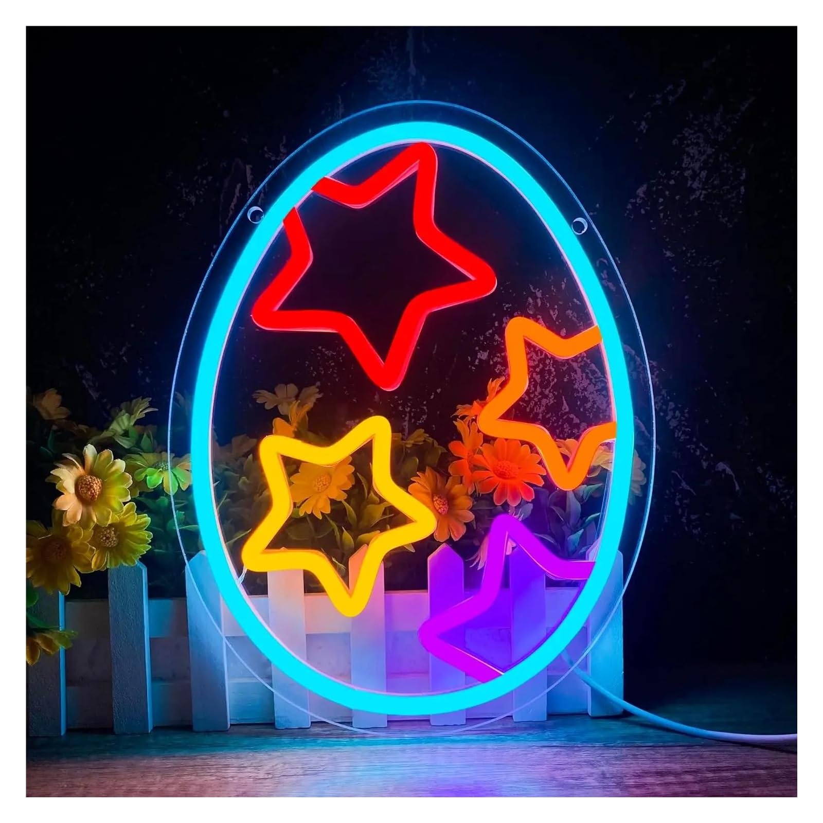 LEMST Sign Lamp Star Egg Neon Sign USB Powered Night Light for Festival Shop Supermarket Party Study Wall Decor 30cmх23cm