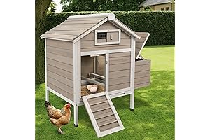 Spacious Chicken Coop with Nesting Box for Ultimate Poultry Comfort