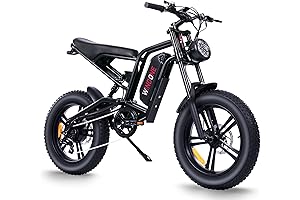 E2 Electric Bike for Adults: Conquer All Terrains with Power and Comfort