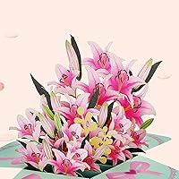 Vista 3 de Tarjetas de agradecimiento 3D desplegables. Tarjeta de regalo de cumpleaños con tarjeta de notas y sobre, perfecta para cumpleaños, agradecimiento