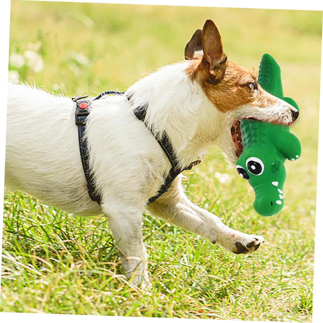 BESPORTBLE 8 Pièces Jouet pour Chien Qui Parle Animal en Peluche Balle de Dentition pour Chien Jouets Qui couinent pour Petits s Petit Jouet pour émulsion