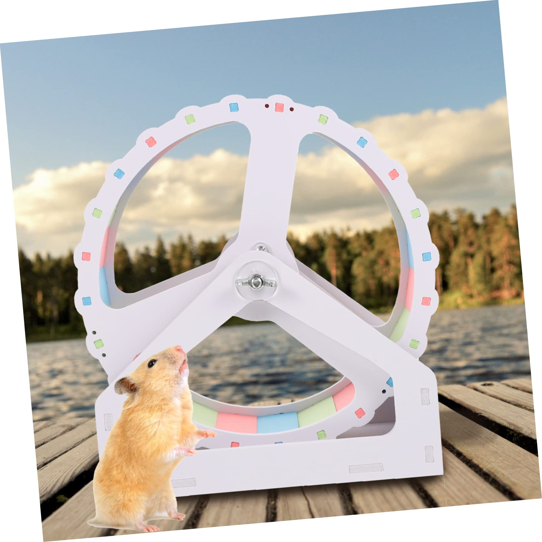 Großes Hamsterrad 21cm aus PVC für Chinchillas und Igel Geräuschloses Kleintierlaufspielzeug für Zuhause und Heimtierbedarf Einfache Selbstmontage