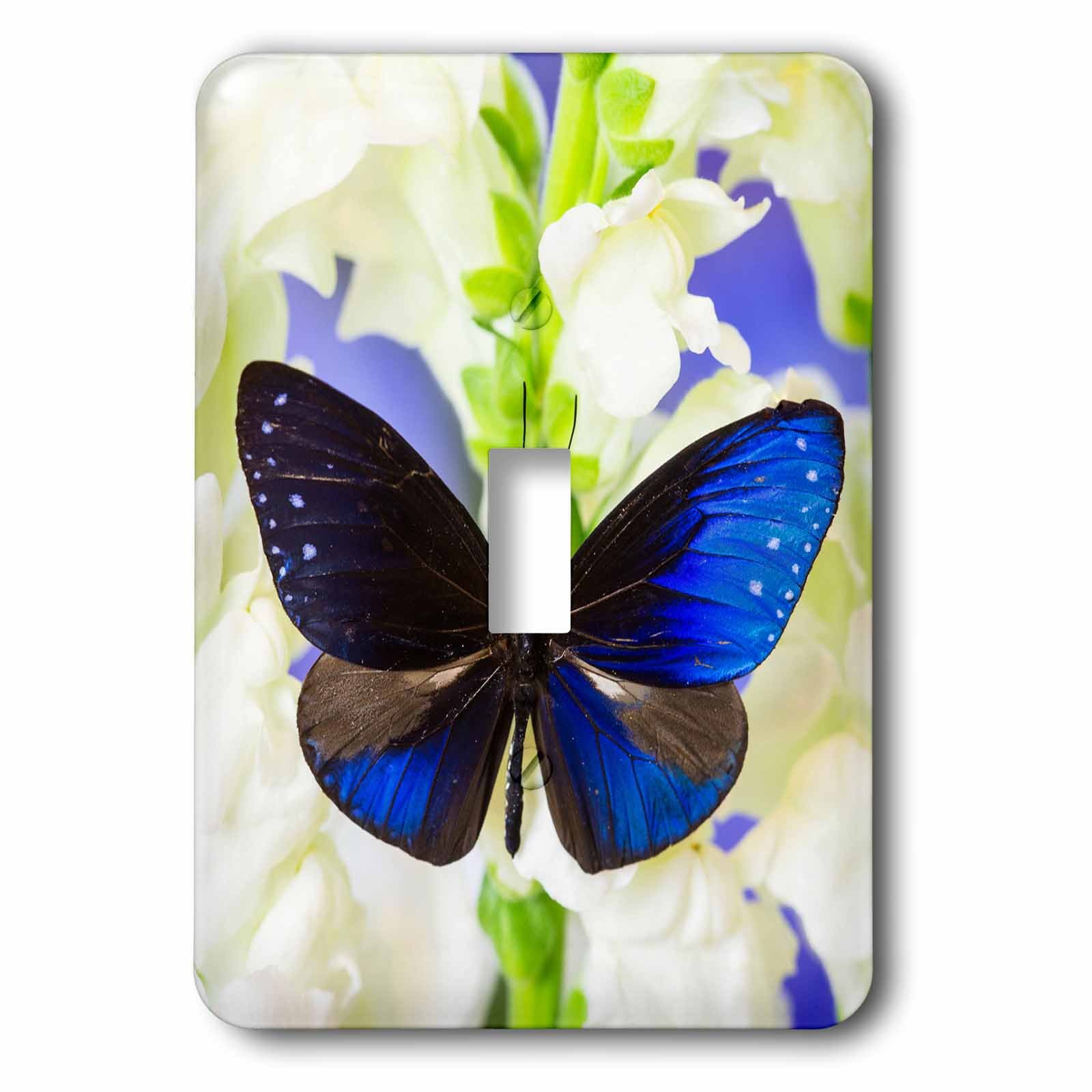 Interrupteur à bascule simple décoratif motif papillon Crow Euphoea Mulciber durable