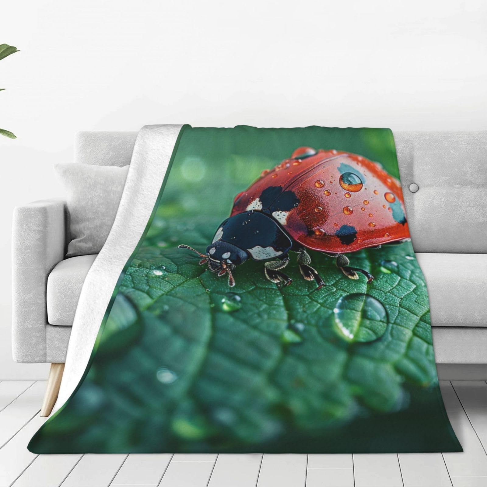 Throw Blanket for Couch Thick Soft Fleece Blankets Warm Cozy Air Conditioning Quilt All Seasons Black Ladybug Blanket Lightweight Flannel Fuzzy Blankets for Bed Couch Living Room Sofa 40"x30"