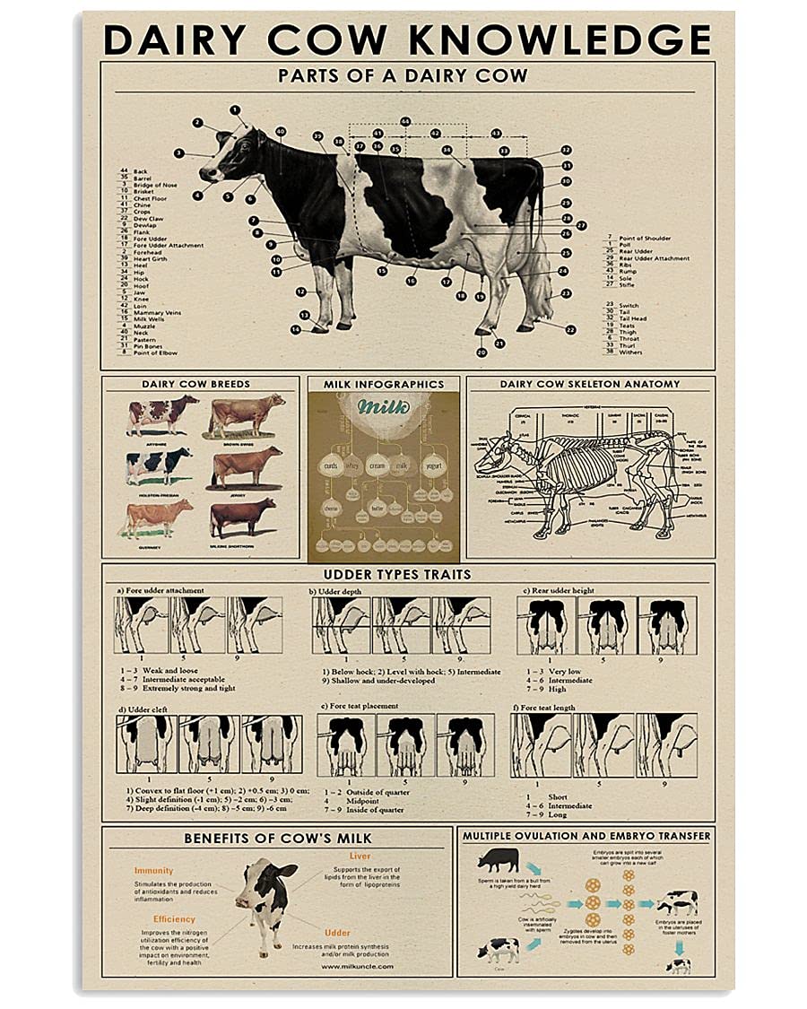 rayprint Dairy Cow Knowledge Posters Science Guide Metal Signs Retro Plaque Room Club Farm Decor Wall Decor 12x16 Inches
