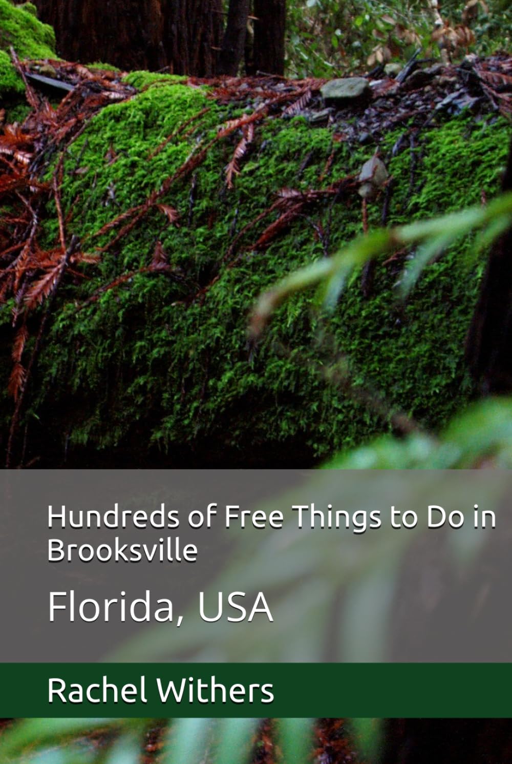 Hundreds of Free Things to Do in Brooksville: Florida, USA