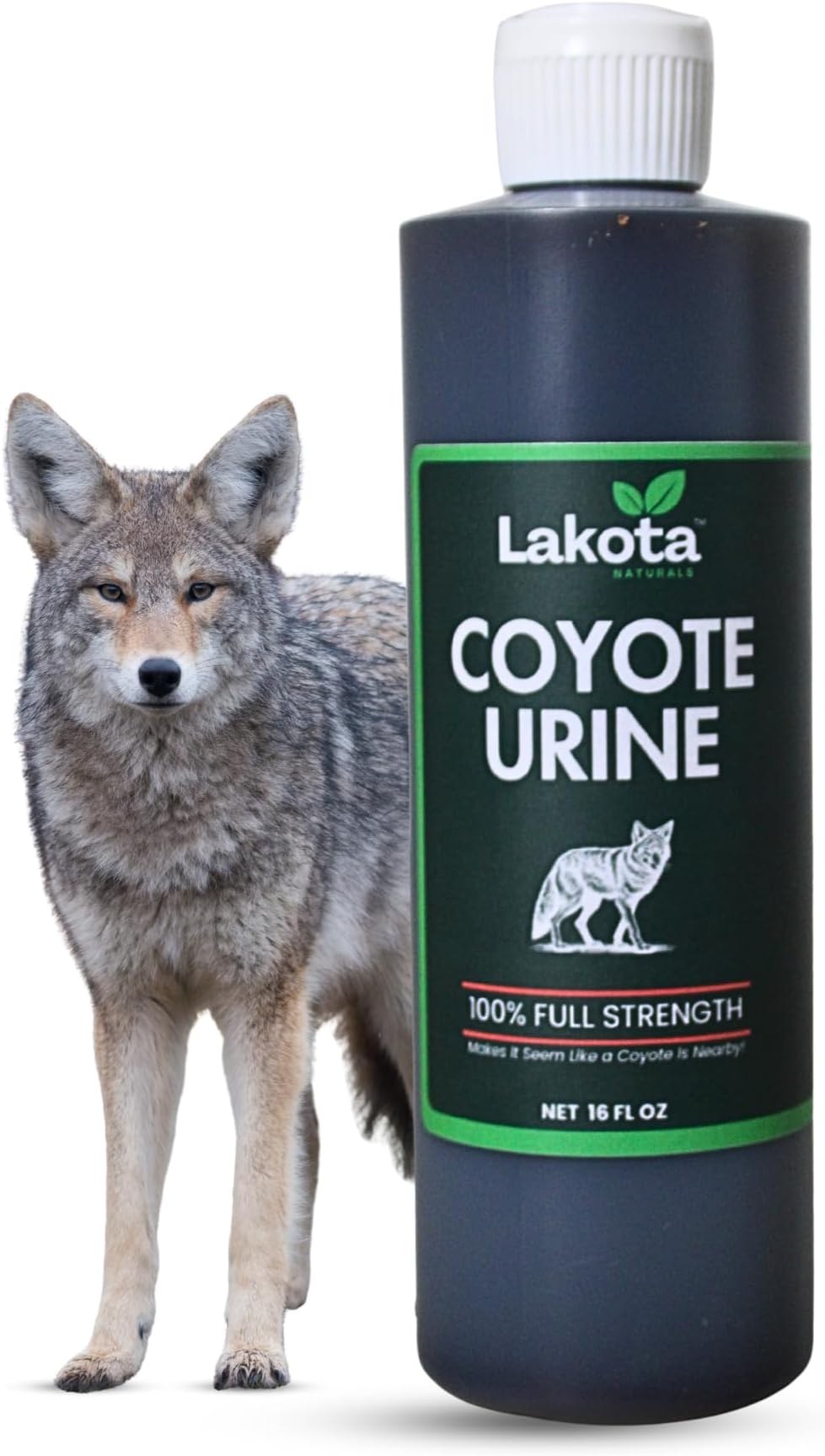 Lakota Naturals Coyote Urine All Natural Animal & Rodent Repellent - Makes It Seem Like a Coyote is Nearby!
