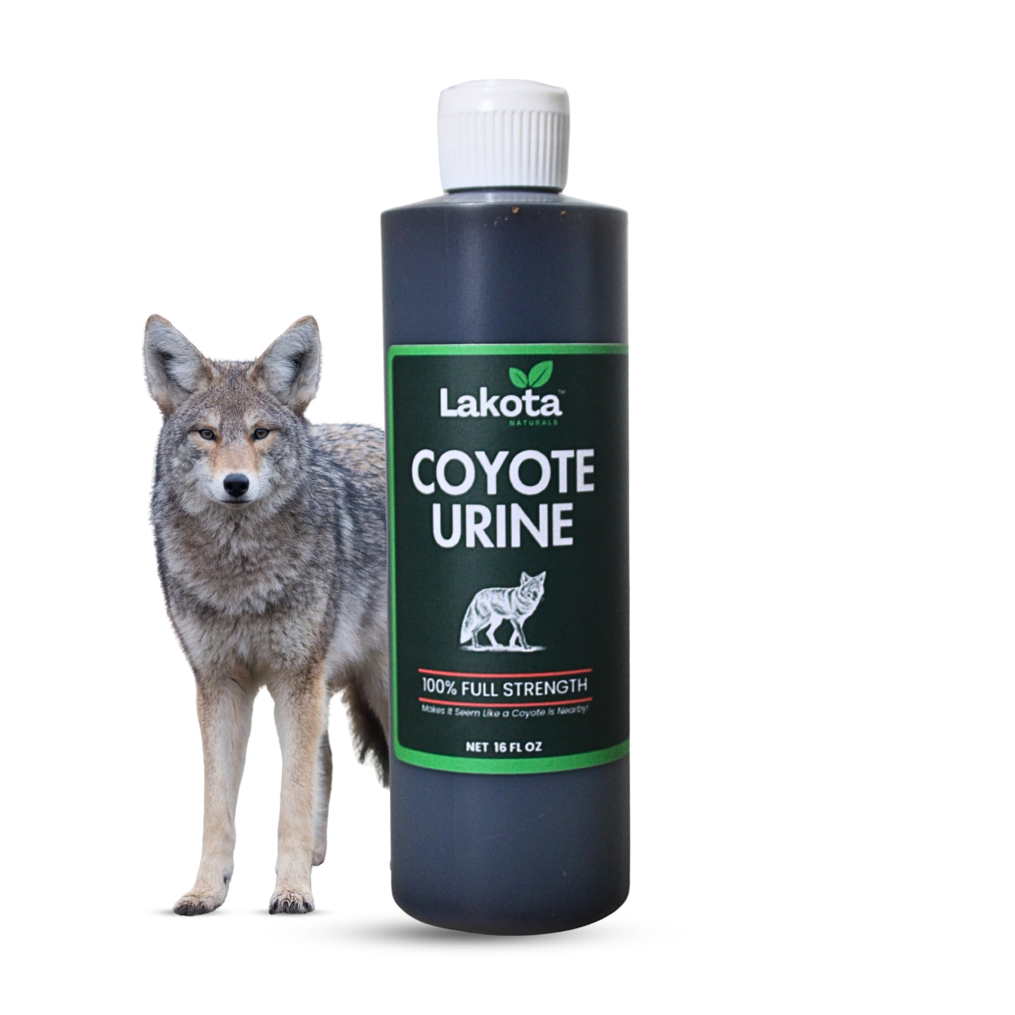 100% Pure Coyote Urine All Natural Animal & Rodent Repellent - Makes It Seem Like a Coyote is Nearby! Skunk and Racoon Repellent for Yard. Squirrel Repellent
