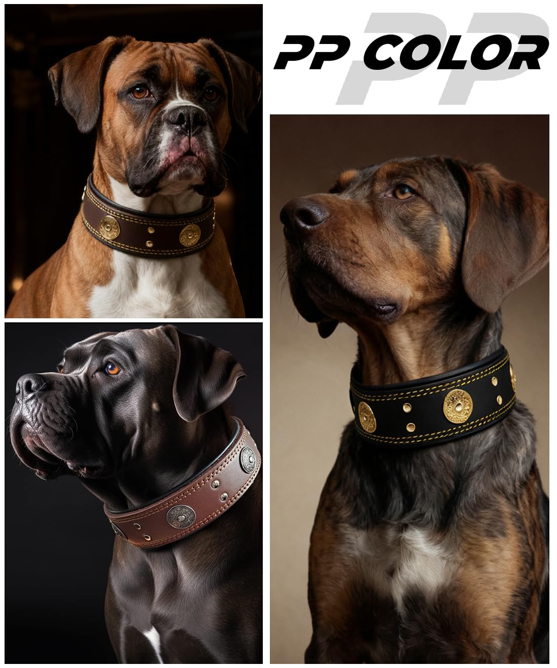 Collar de Cuero para Perro, Collares de Cuero Genuino Resistente de 5 cm de Ancho, Hecho a Mano, Suave y Lujoso, la Mejor opción para Perros de Raza Grande y Media, Color Verde, 22.5-26.5 Pulgadas