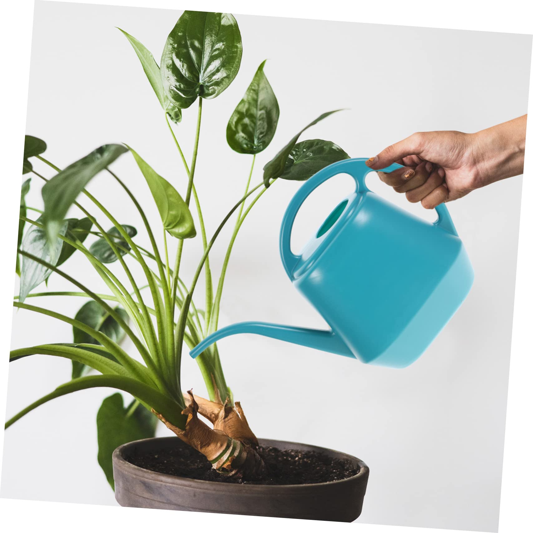 ORFOFE Annaffiatoio da Giardino in Plastica Verde, Watering Can lungo Becco, Robusto e Pratico, Capacità, Comodo da Impugnare per Annaffiare Piante e Fiori Stili multipli