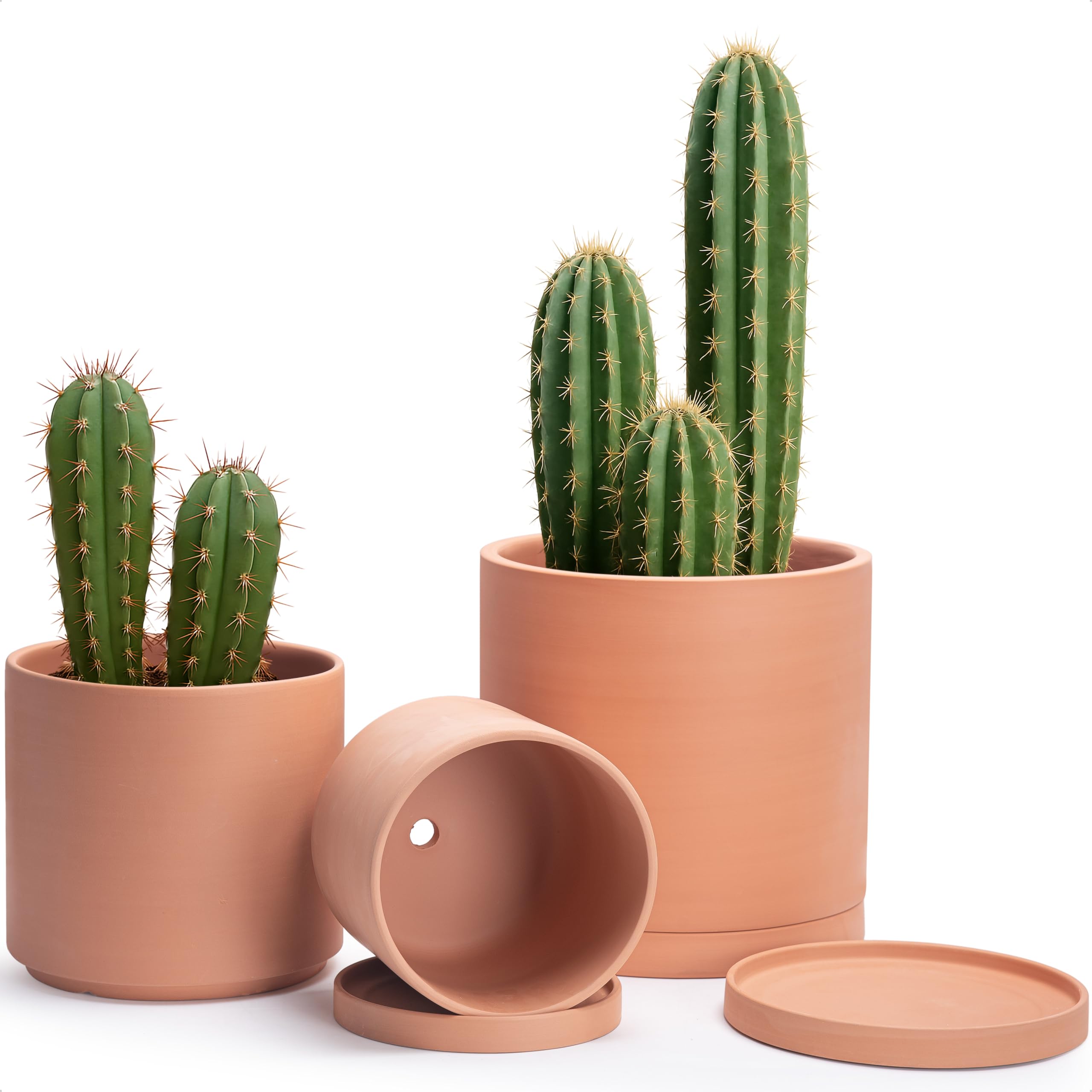VASO PER PIANTE Da 20 Cm Con Presa D'Acqua Fioriere Autoinnaffianti Con VASO PER PIANTE Da 20 Cm Con Presa D'Acqua Fioriere Autoinnaffianti Con