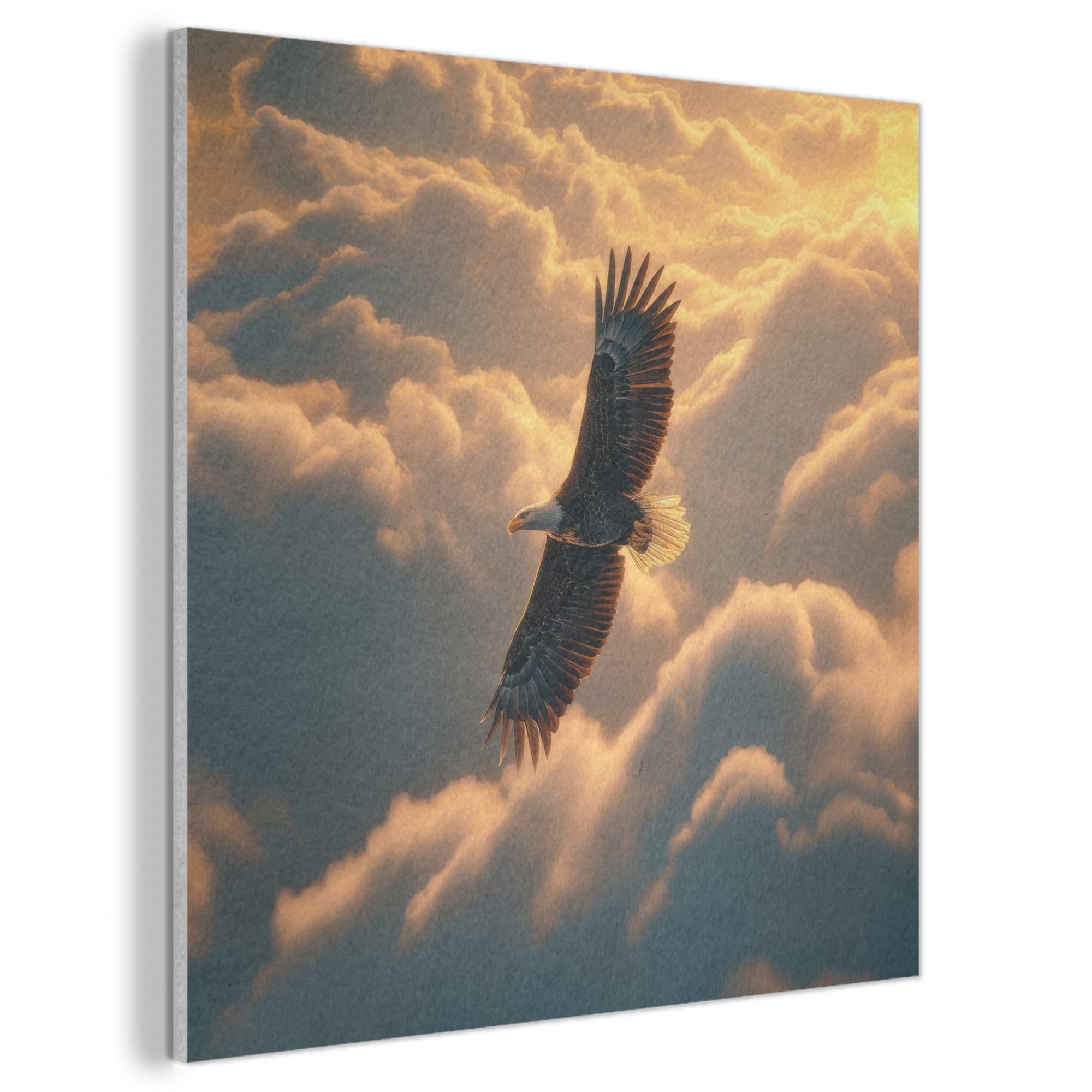 MuchoWow© Felt Panel 60x60 cm House Touch for Living Space Modern Visuals Decoration Wall Art Eagle - Clouds - Sun
