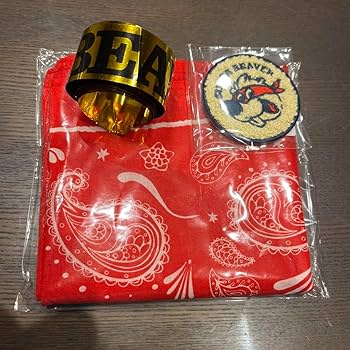 Supreme バンダナ ブルー レッド 2枚セット Supreme × Hanes/シュプリーム×ヘインズ バンダナ Tシャツ2枚