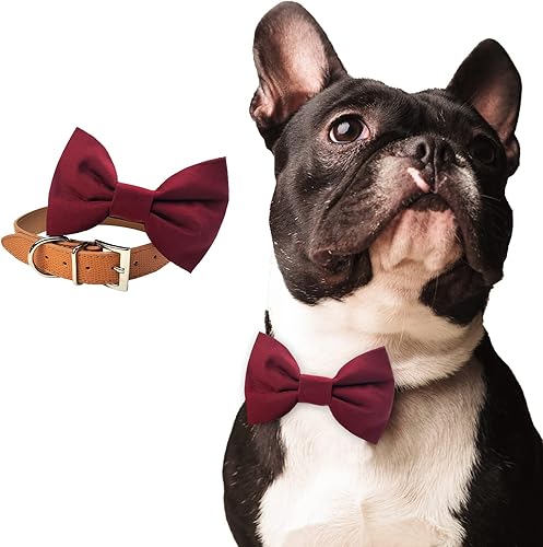Miniatura 1 de Collar de moño para perro burdeos, collar de boda para perro, collar de perro de boda rojo profundo, collar formal para perro, ropa de boda para