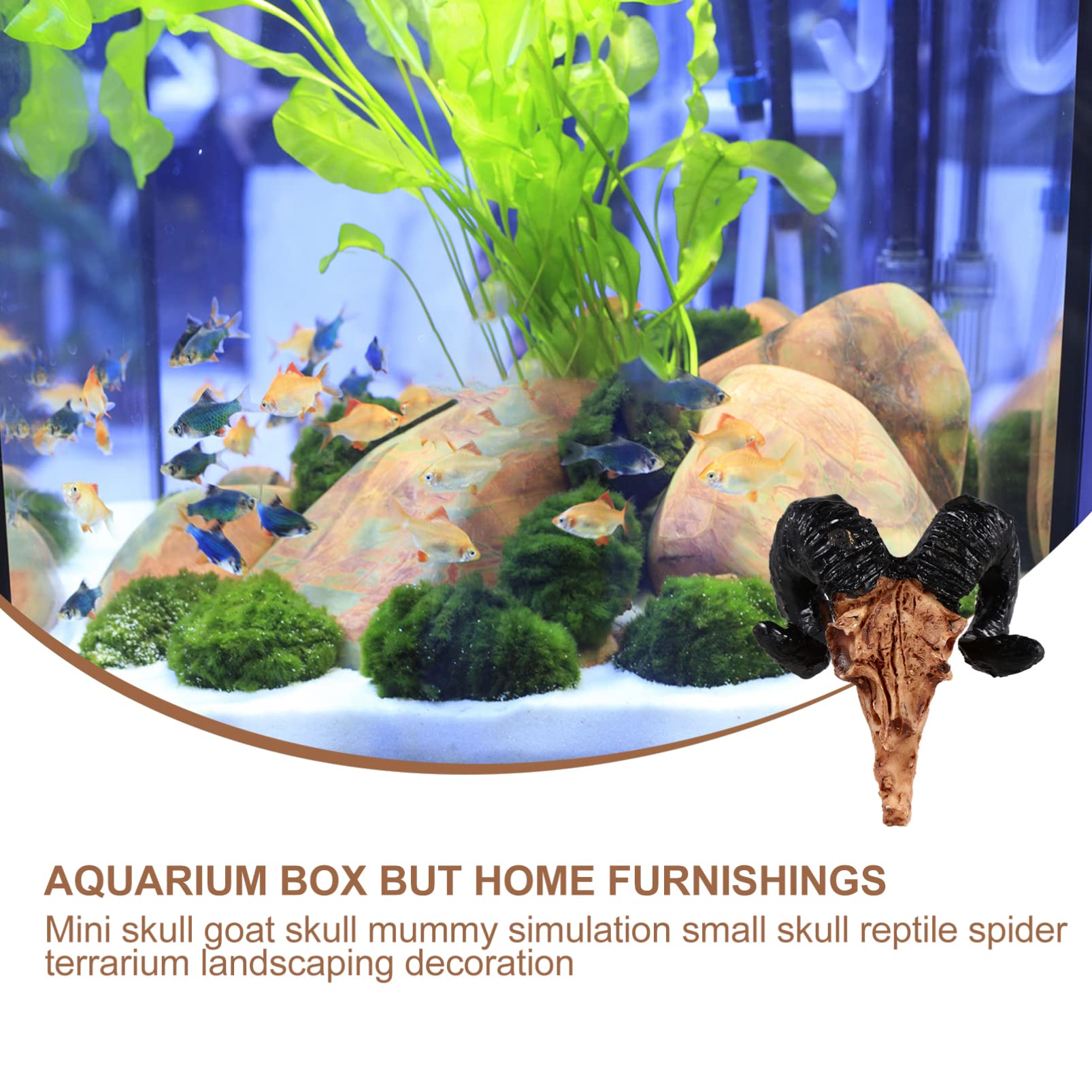Kisangel 2 Ensembles Décoration De Paysage De Crâne Aquarium Animal De Compagnie Humain Marchandise Accessoires Décorations Maison De Reptiles pour Animaux De Compagnie Réservoir Résine