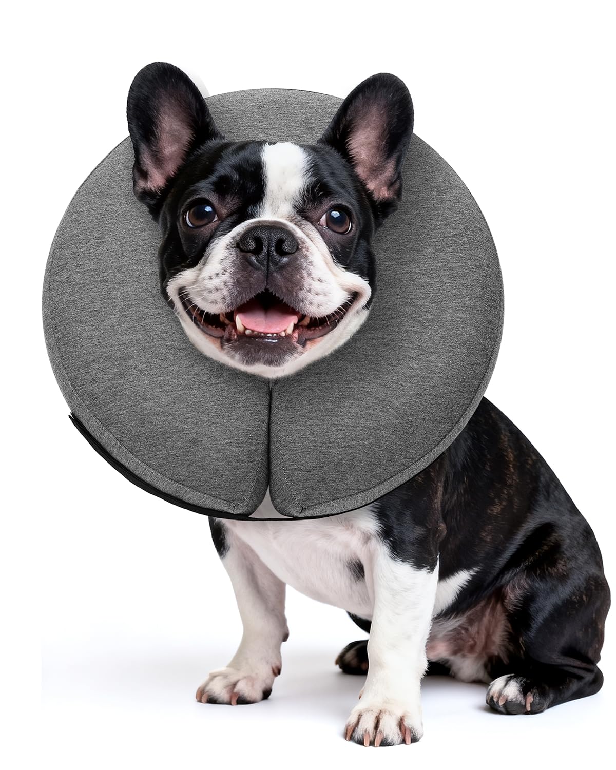 Photo 1 of MIDOG Inflatable Dog Cone Collar – Soft Dog Cone Alternative After Surgery, Comfortable Recovery Neck Donut ECollar for Small Medium & Large Dogs and Cats to Stop Licking & Vision-Friendly (Grey,M+)