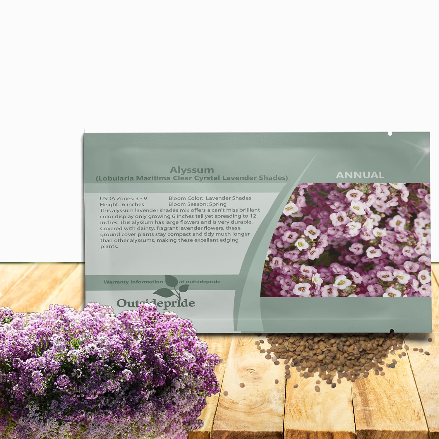 Amazon.com : Outsidepride Clear Crystal Lavender Shades Alyssum