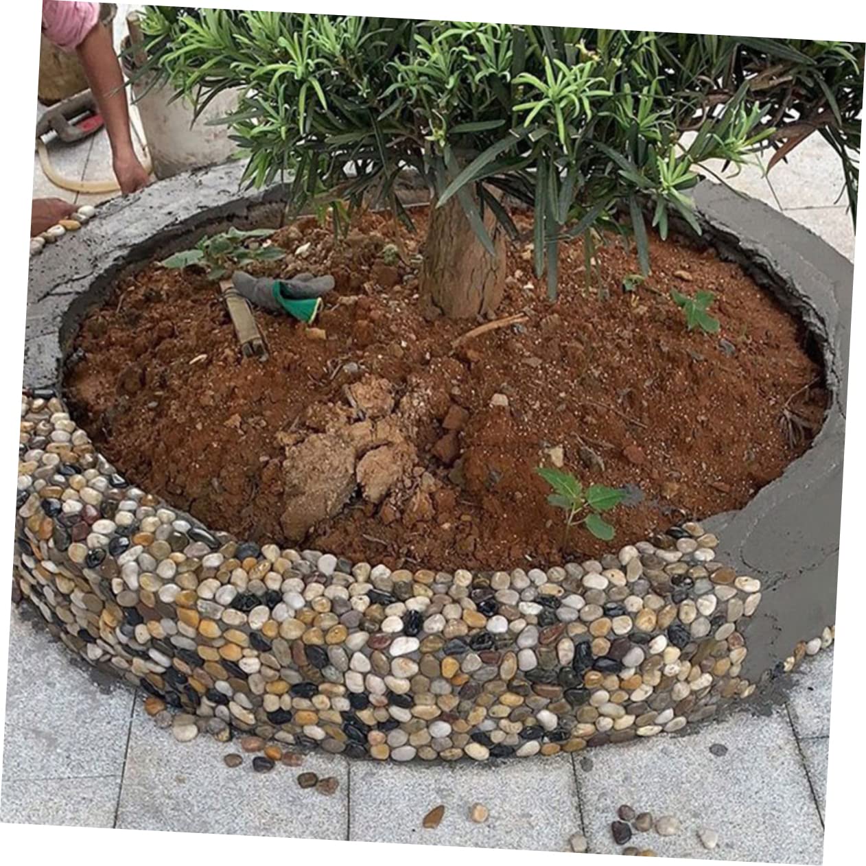 Kisangel 2bolsas Guijarros Naturales para Acuarios y Jardines De Piedras Decorativas Coloridas para Paisajismo y Plantas Suculentas para Crear Atractivos y Creativos