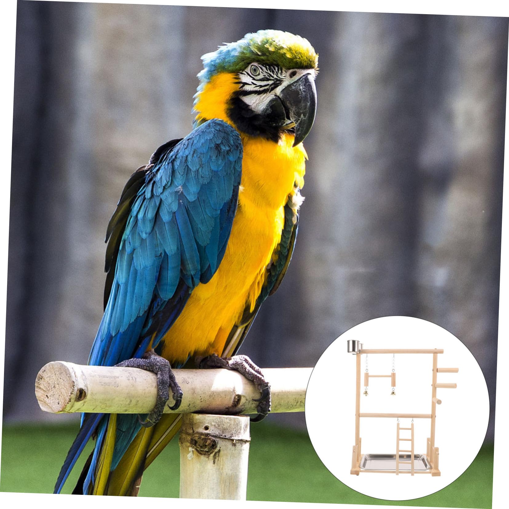 Beaupretty 1juego Percha para Aves Estación De Interactiva para Periquitos y Aves Pequeñas Soporte De Entrenamiento para Juguete Masticable y De Diversión