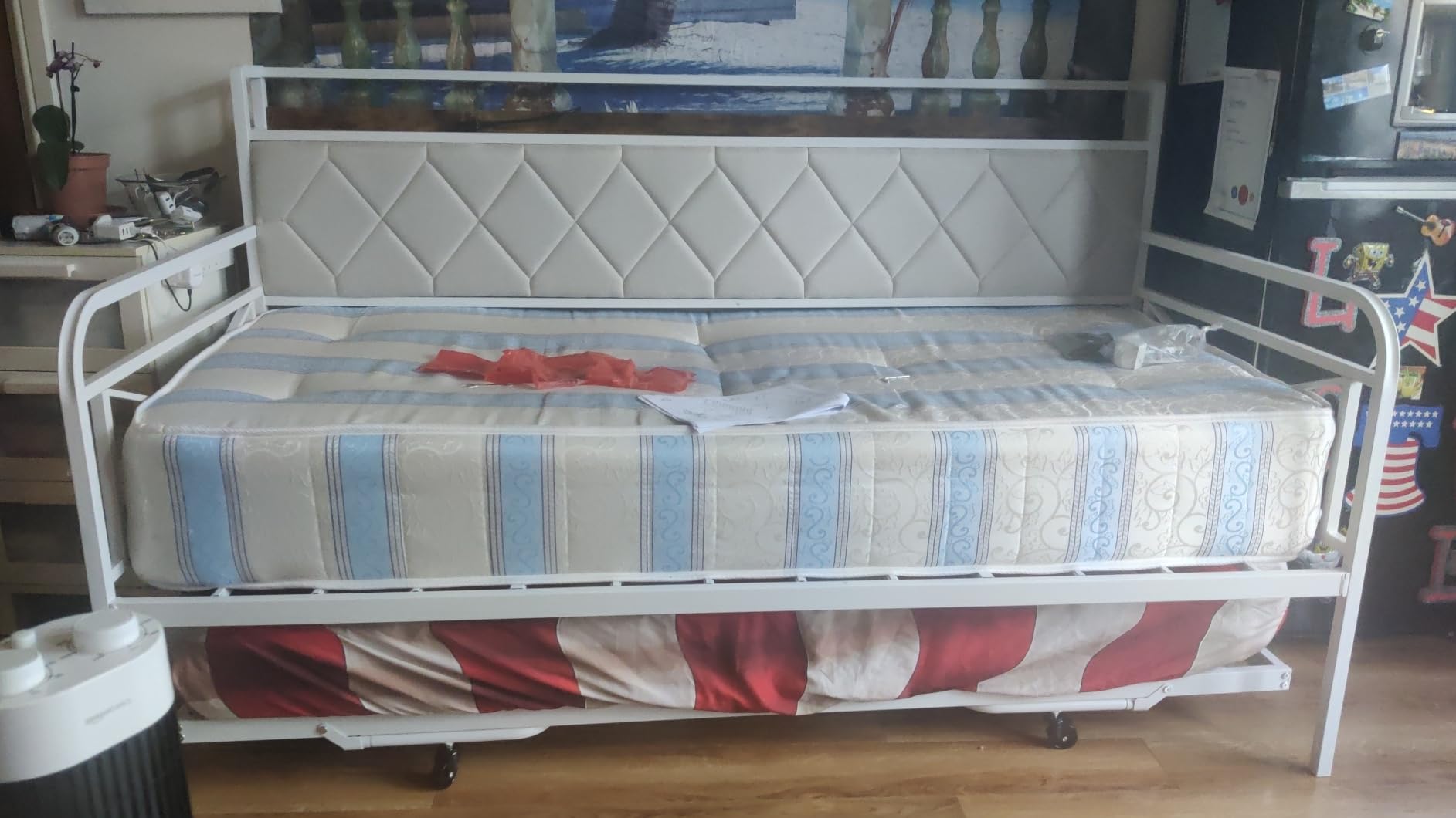 Customer photo