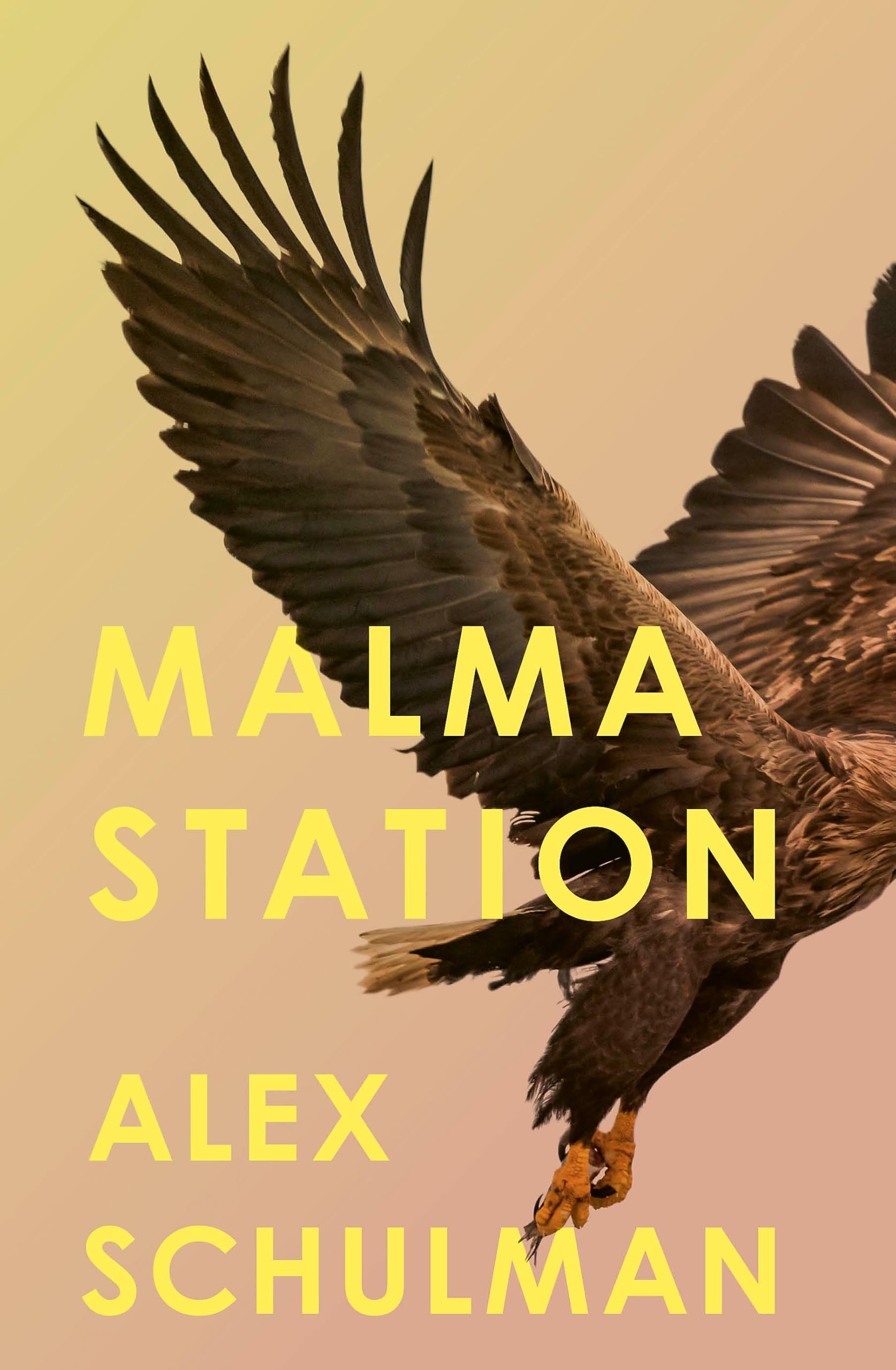 Malma Station by Alex Schulman (Paperback Book)