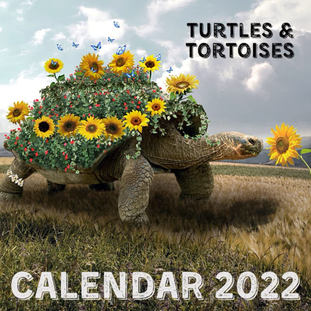 Calendar 2022 Turtles Tortoises Mini Monthly Planner 14 Months With 