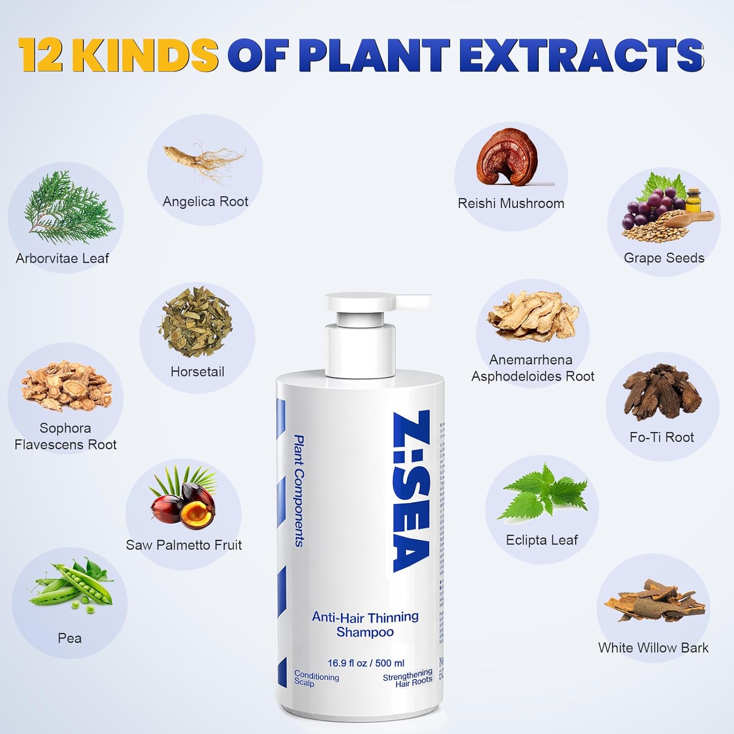 Z:SEA DHT Blocker Anti-Thinning Shampoo, Anti-Hair Loss & Hair Growth for Men & Women, Hair Thickening, Strengthening & Volumizing Shampoo with Saw Palmetto, Vitamin B6 & Arborvitae Leaf, 16.9 fl oz