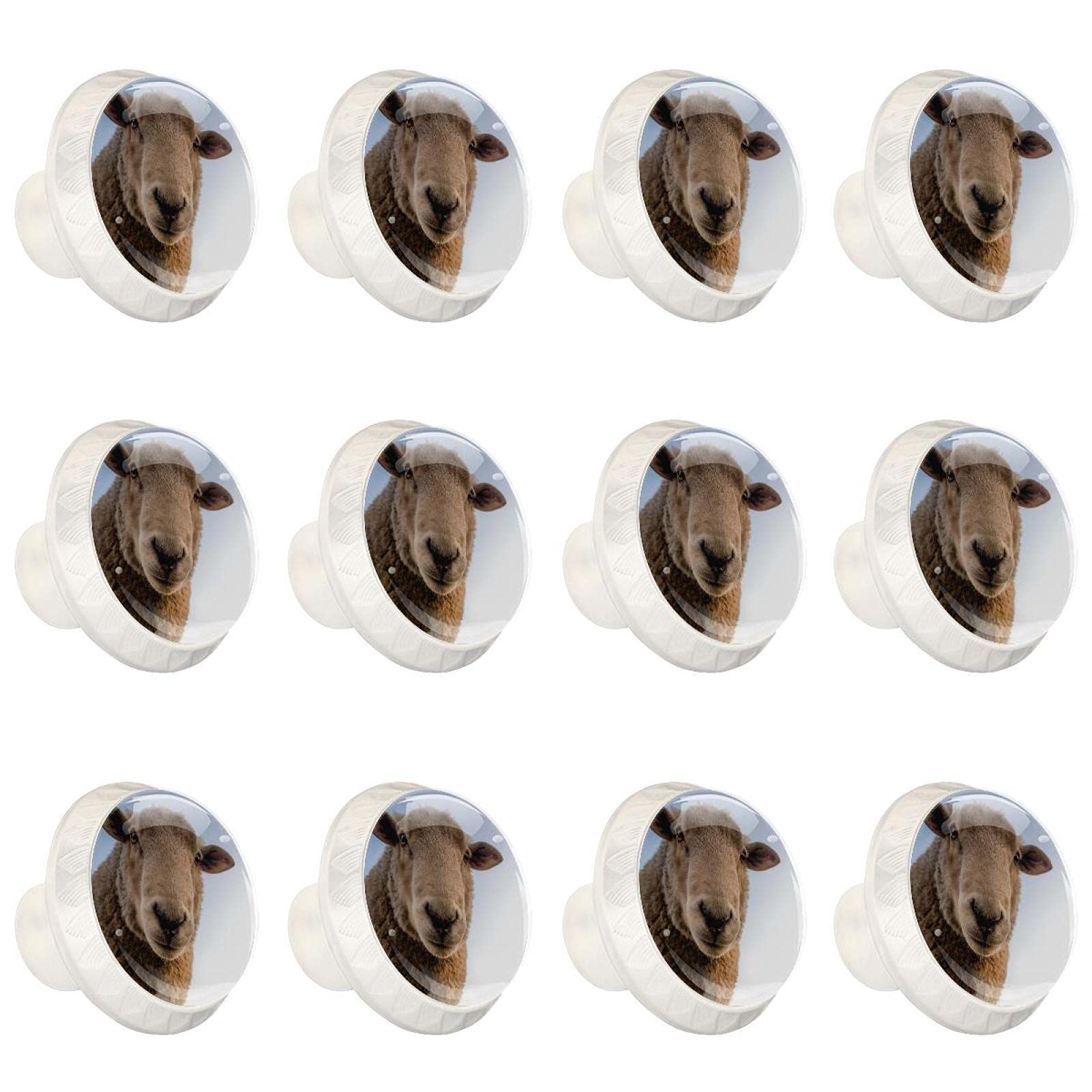 Boutons d'armoires de cuisine animaliers en lot de 12 pour tiroirs