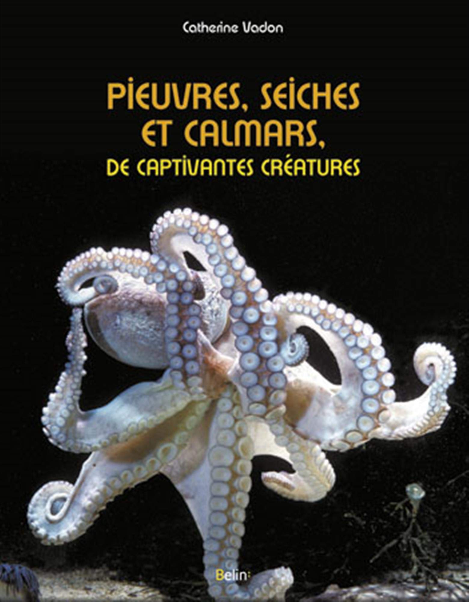 Pieuvres, seiches et calmars, de captivantes créat