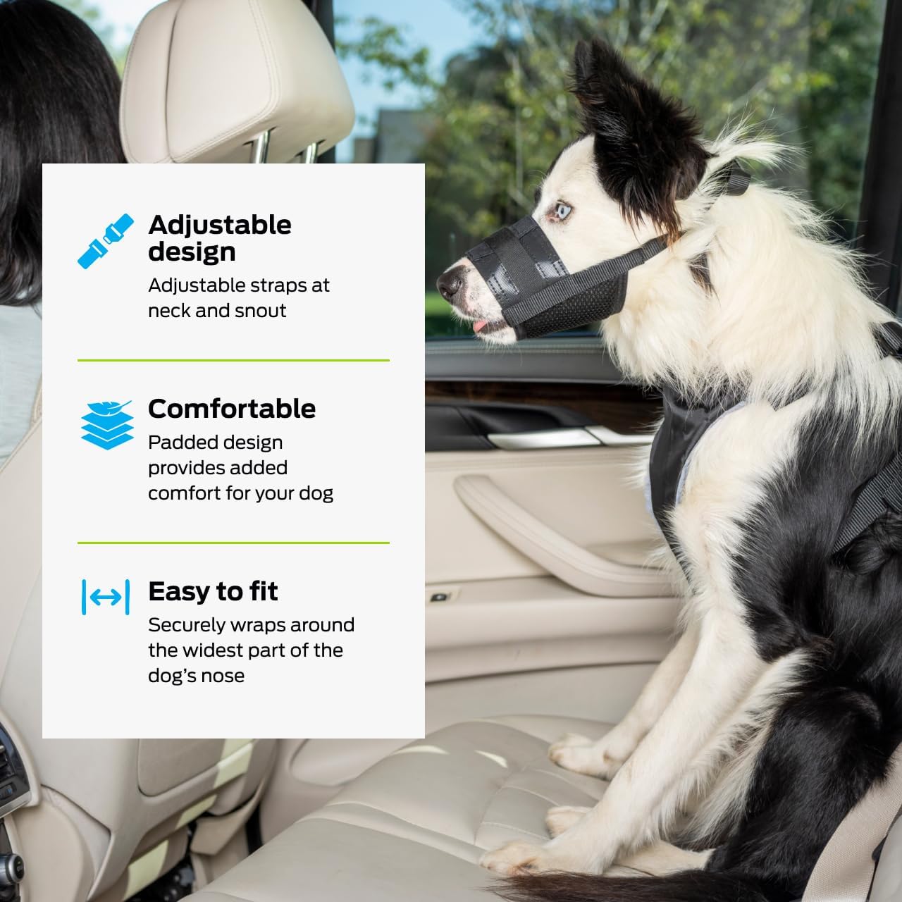 Dog wearing a properly fitted Premier Pet muzzle in a car, highlighting adjustable design and comfort
