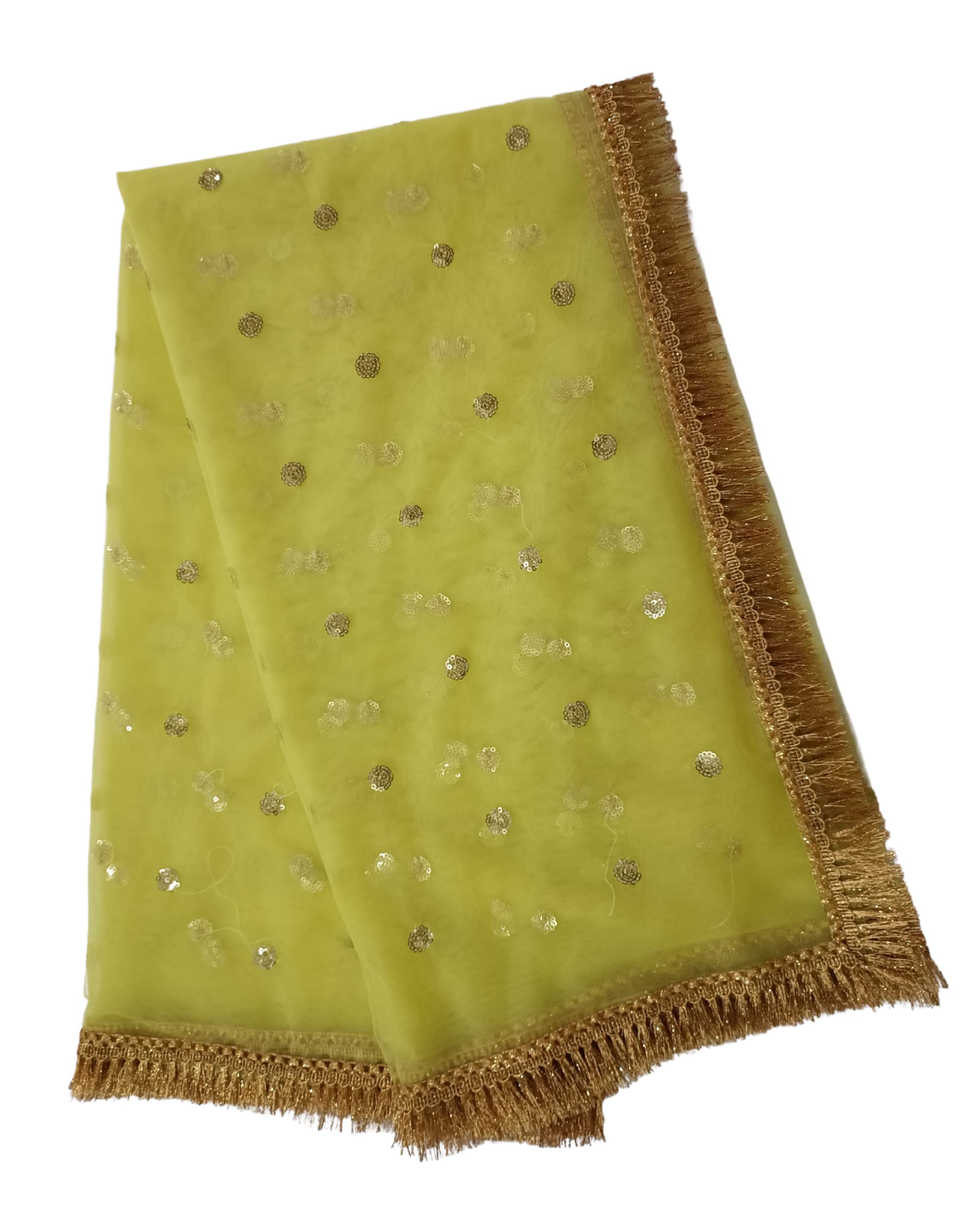 faith visit Women's Embroidered Net Dupatta (sd-0507-3/49_Neon_Free size)-picture-35