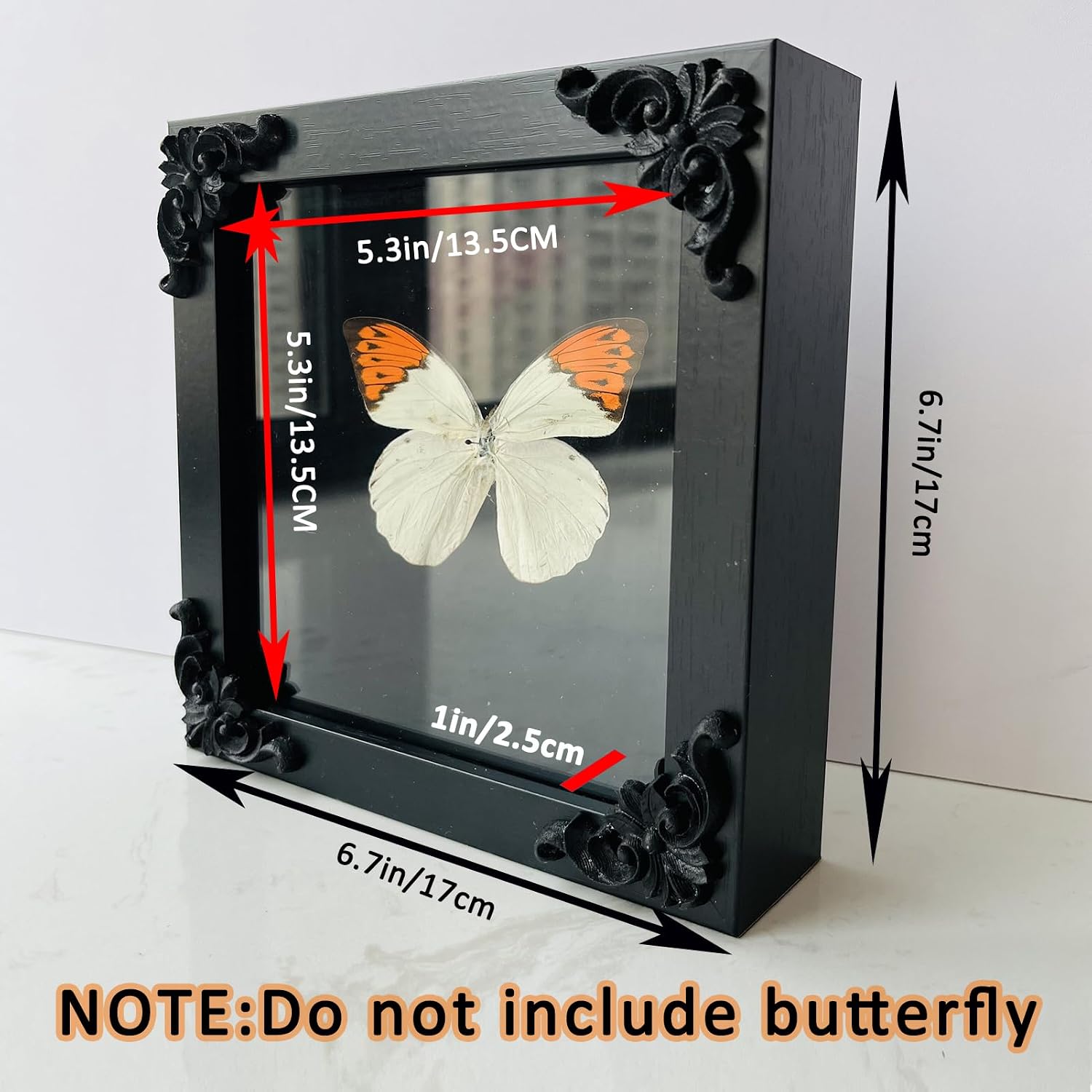 Insect Display Frame,Butterfly Shadow Box with Top Eva Foam Pinning Board, Insect Display Box,Butterfly Display,Riker Display Cases for Collecting Butterfly and Bug,Insect Pinning Kit,Butterfly Box