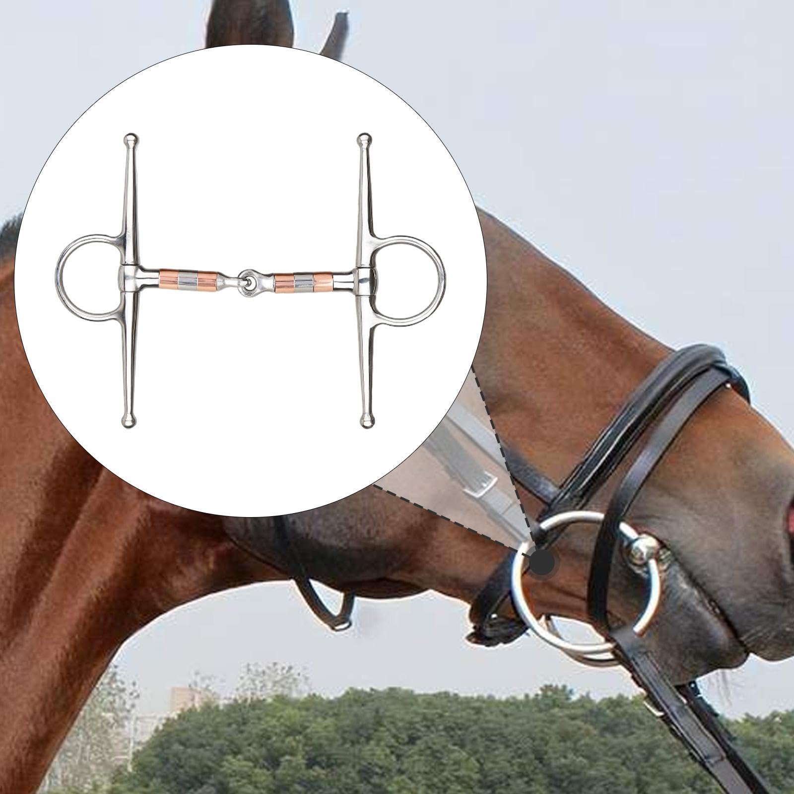 para Caballos, Filete para Caballos, fácil de Usar, de Entrenamiento para Masticar, Rodillos de Cobre para Equipo de Entrenamiento,