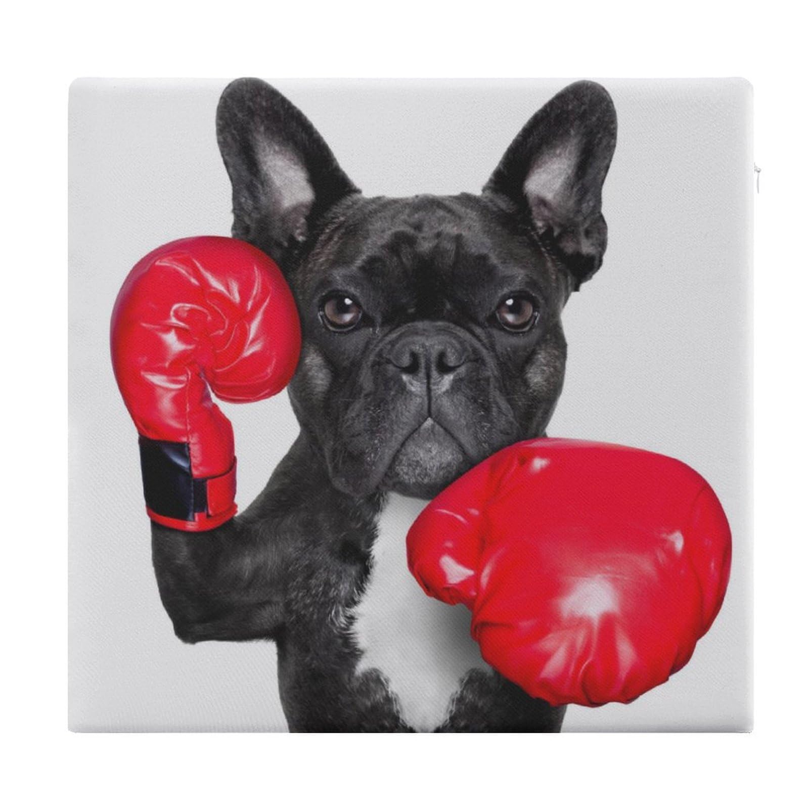 JZemdybill Chair Pad, French Bulldog Boxer Seat Pad, Square Chair Cushion for Yoga Living Room Balcony