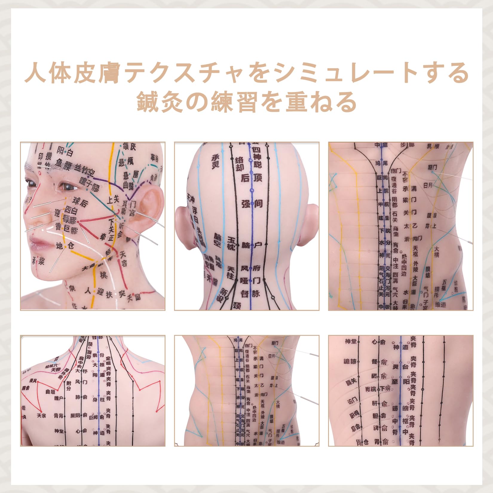 Amazon.co.jp: シリコン 鍼灸マネキン トルソー 針術 経絡モデル