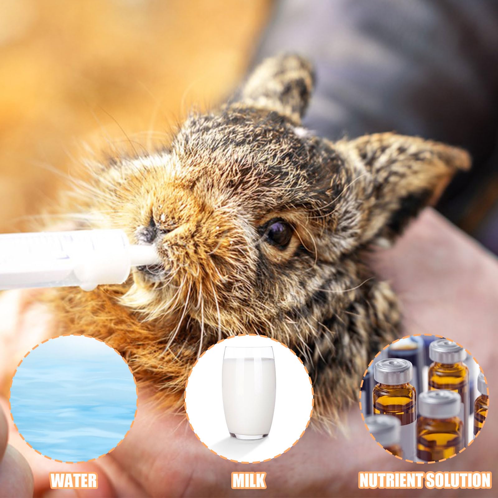 Baby Bird Feeding Syringe Set, 20ml Pet Parrot Feeding Syringe with Tubes - Image 3