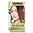 Indus Valley Natural Organic Damage Free Gel Hair Color | Ammonia Free, Vegan & Cruelty Free | Up to 100% Gray Coverage, Long Lasting Results |Medium Copper Blonde 8.4 (20gram+200ml)