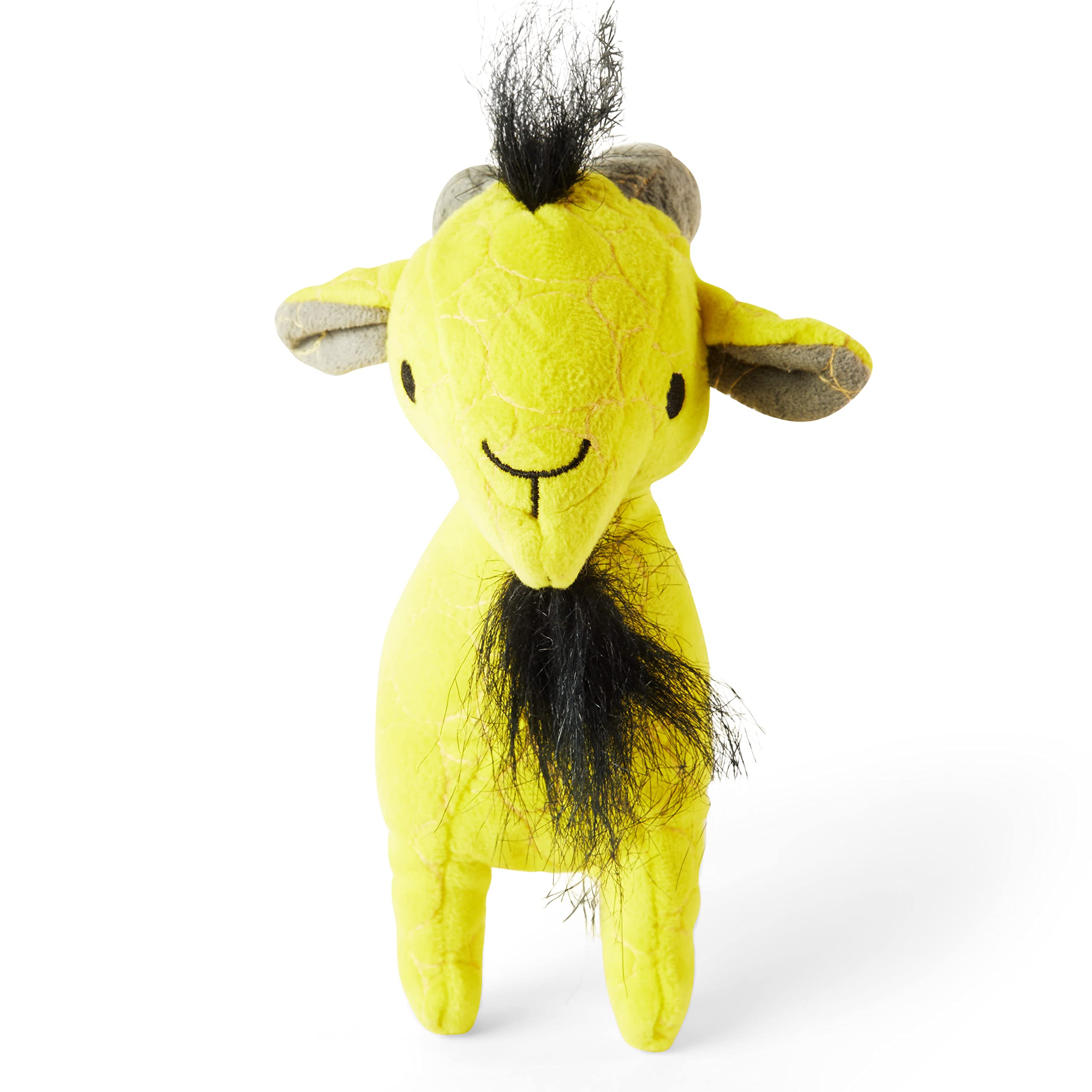 Is Puppy Playtime At Petco Free